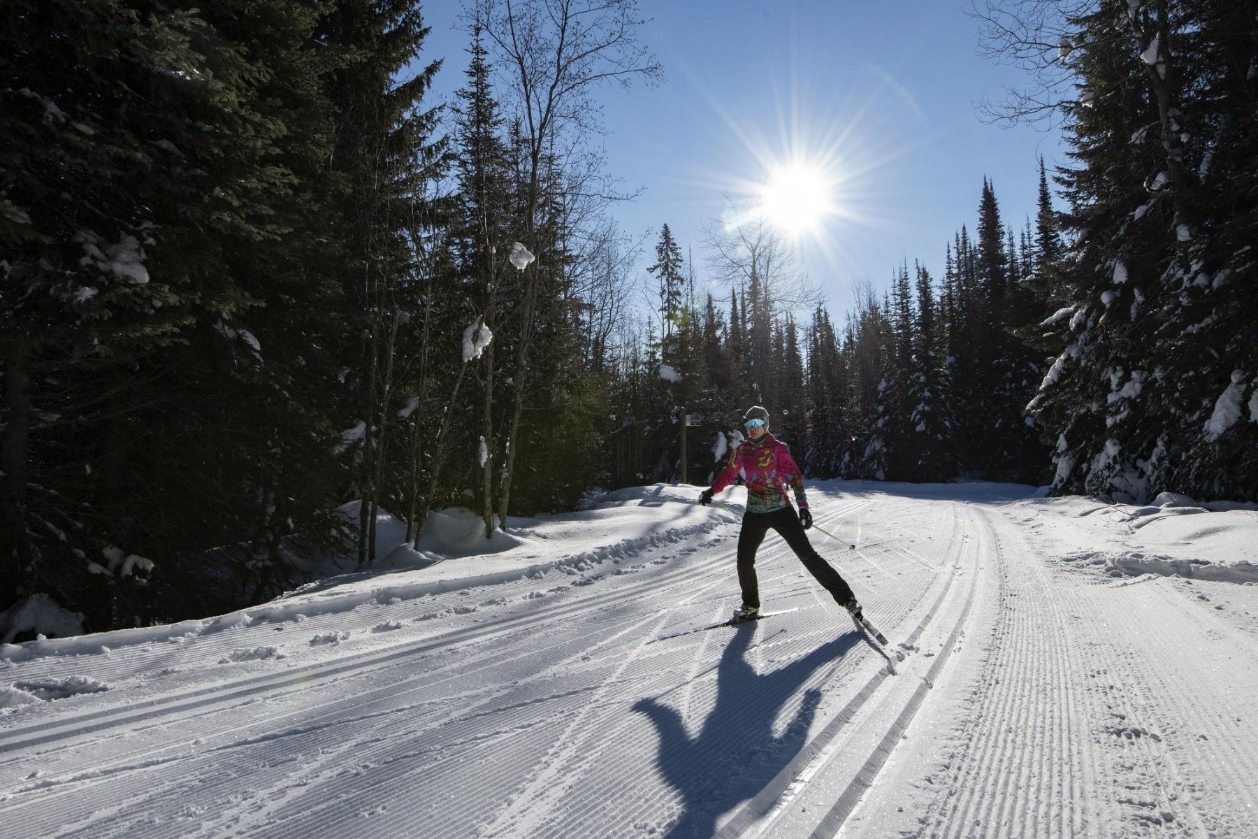 Nordic Ski 