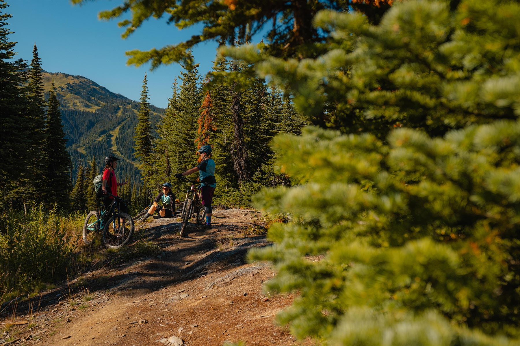 Three woman with bikes standing and sitting on the mountain with tree around them