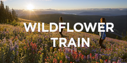 Wildflower Train