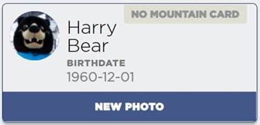 Harry Bear Profile Photo
