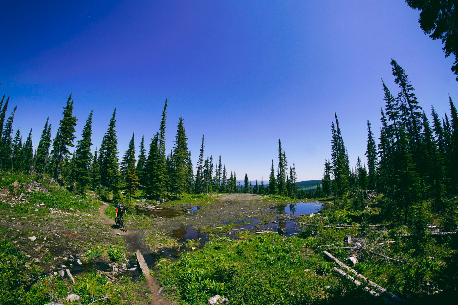 Local Laps with Jase Petersen