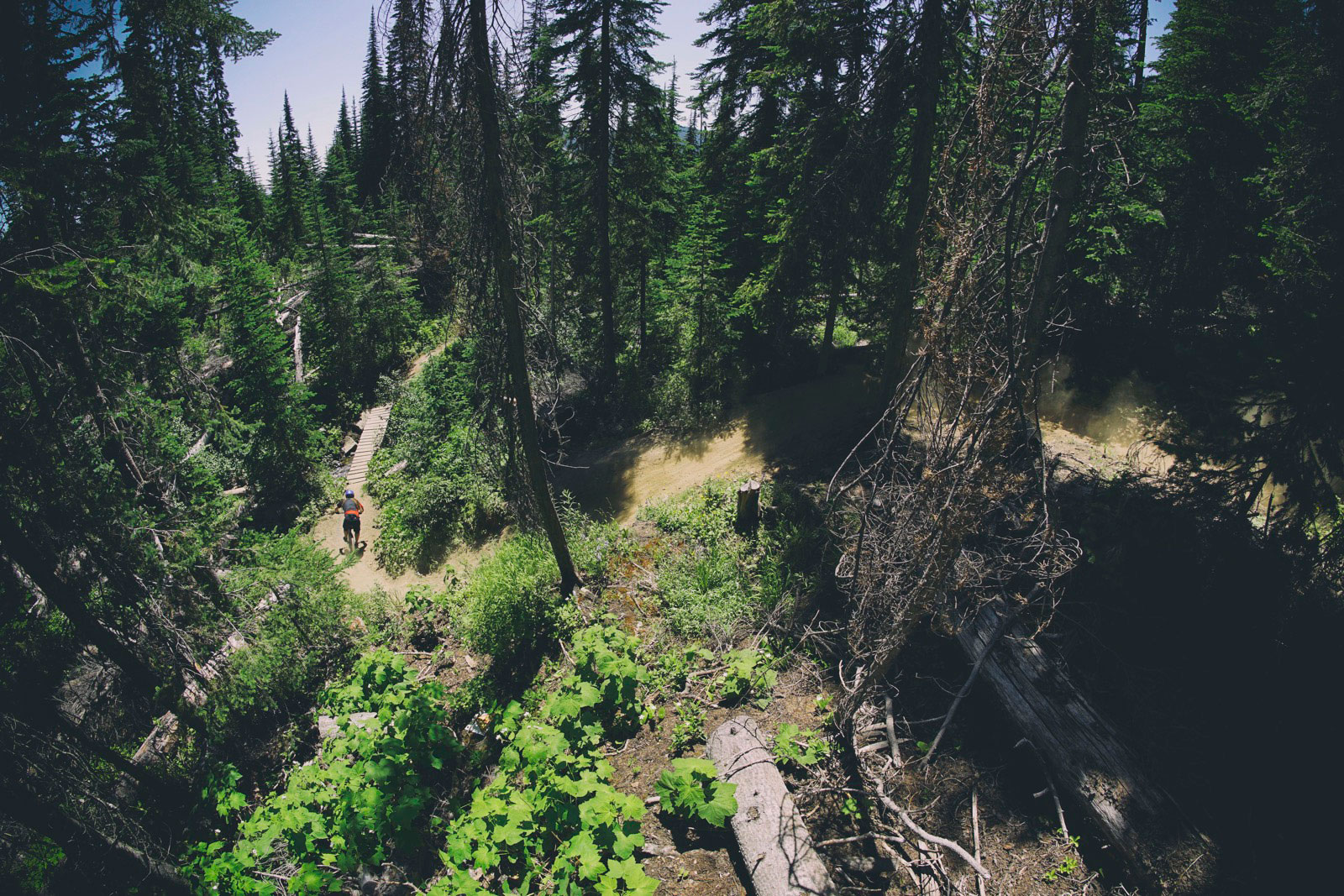 Local Laps with Jase Petersen