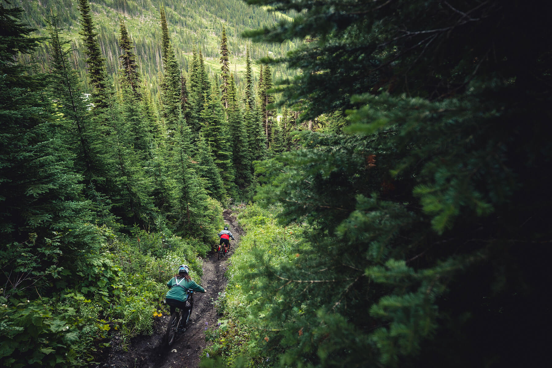 Mountain Bikers at Sun Peaks Bike Park
