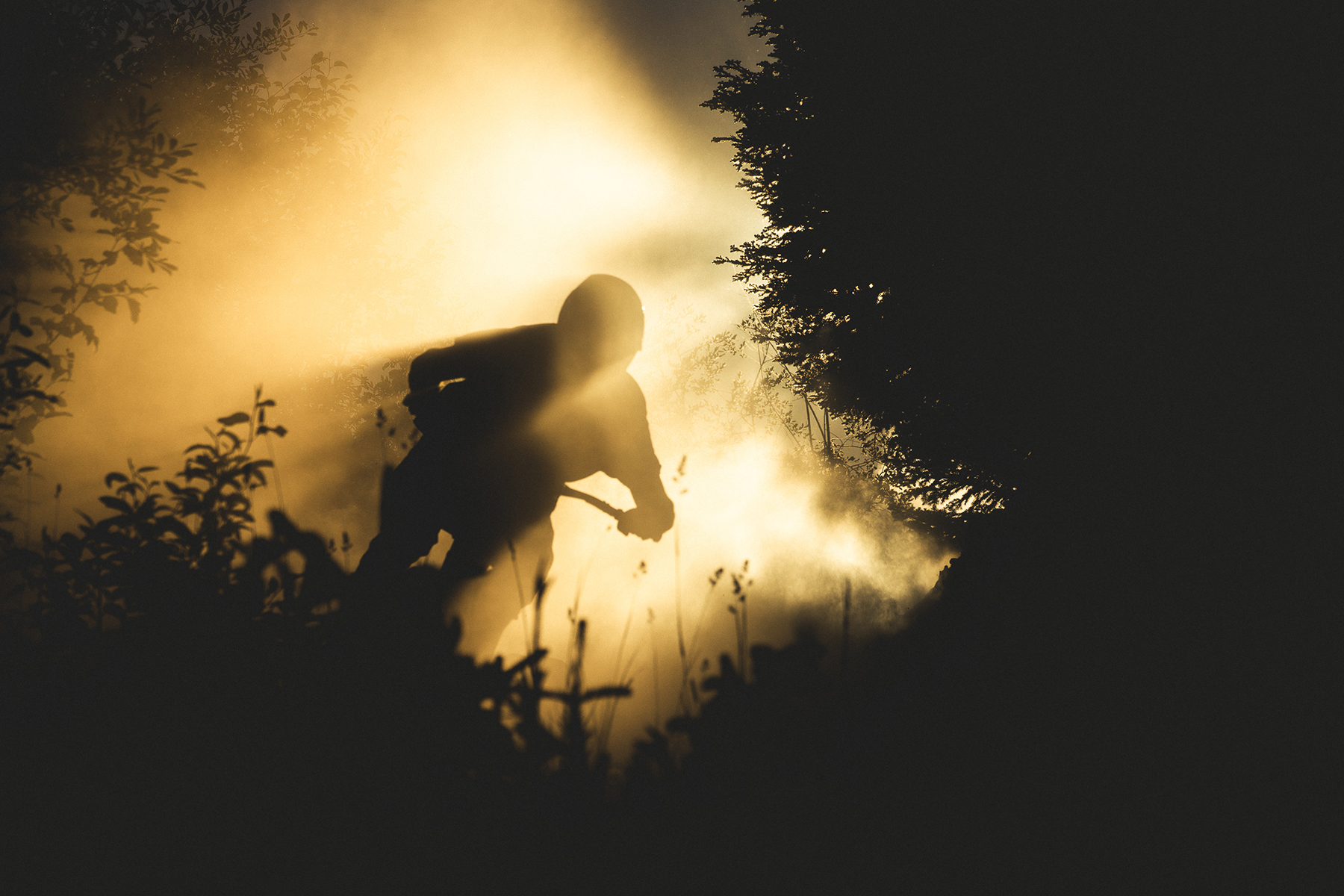 The Flow State at Sun Peaks Bike Park