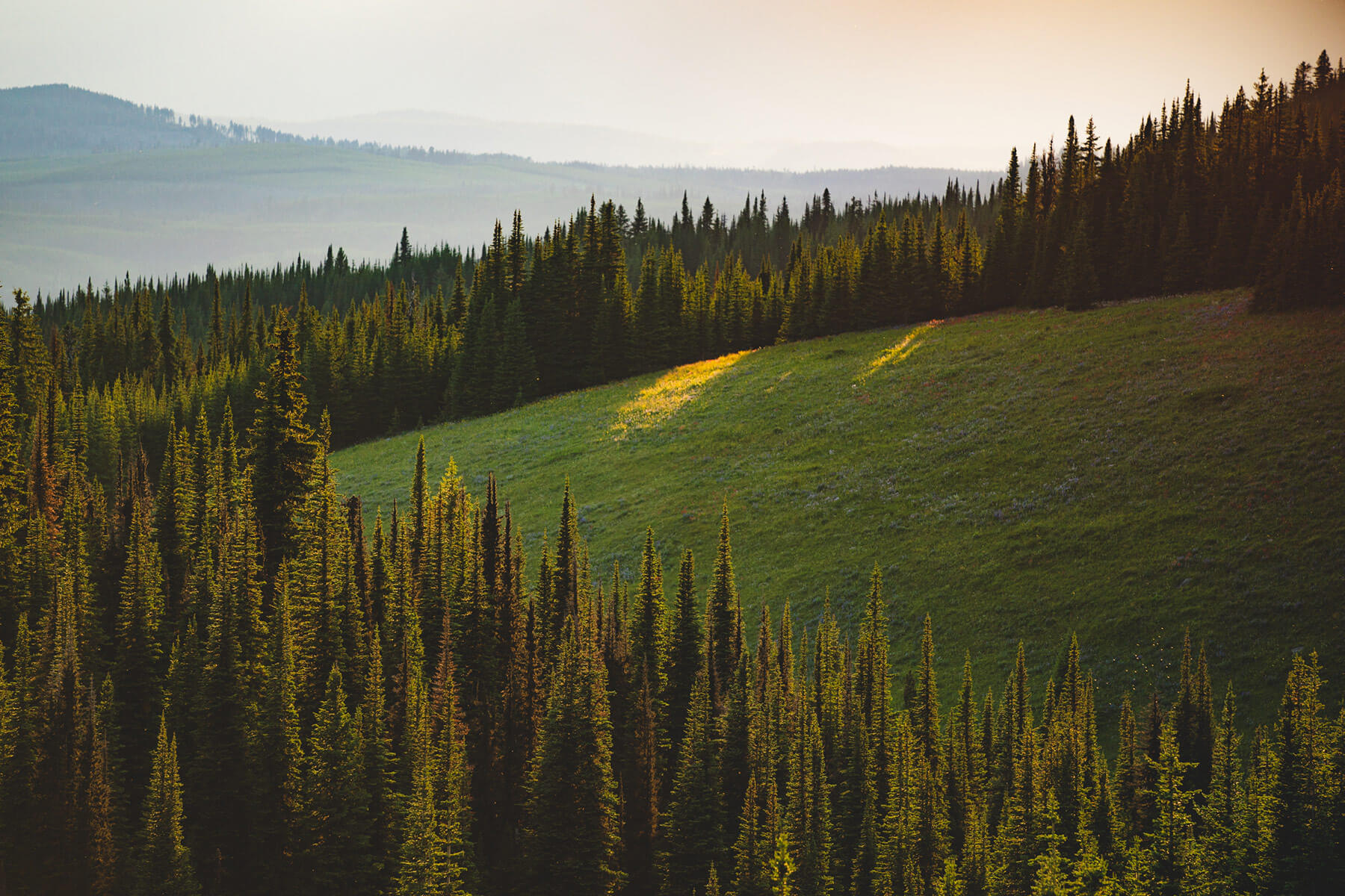 Mountain Meadow at Sun Peaks Resort