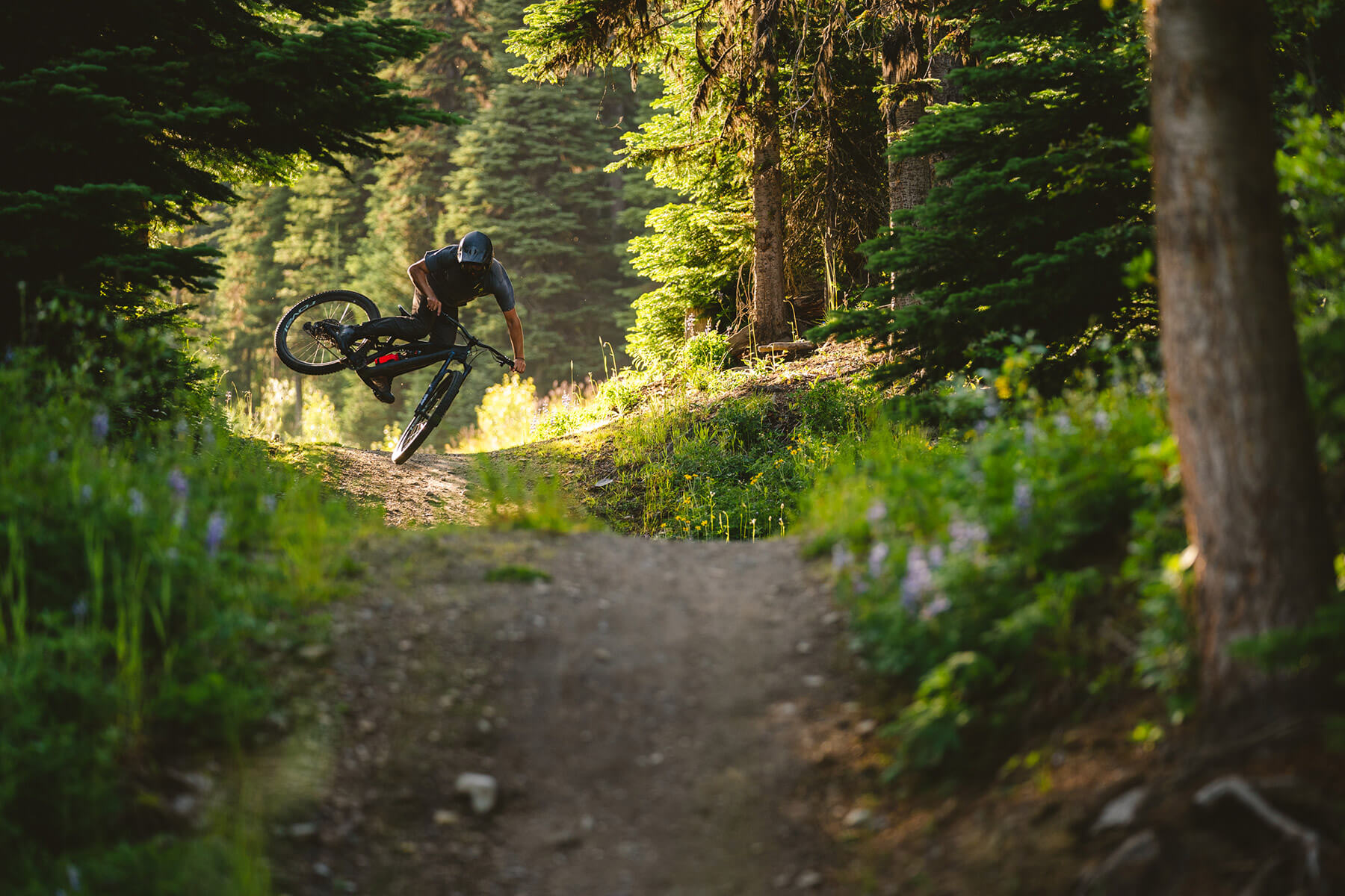 Matt Miles at Sun Peaks Bike Park