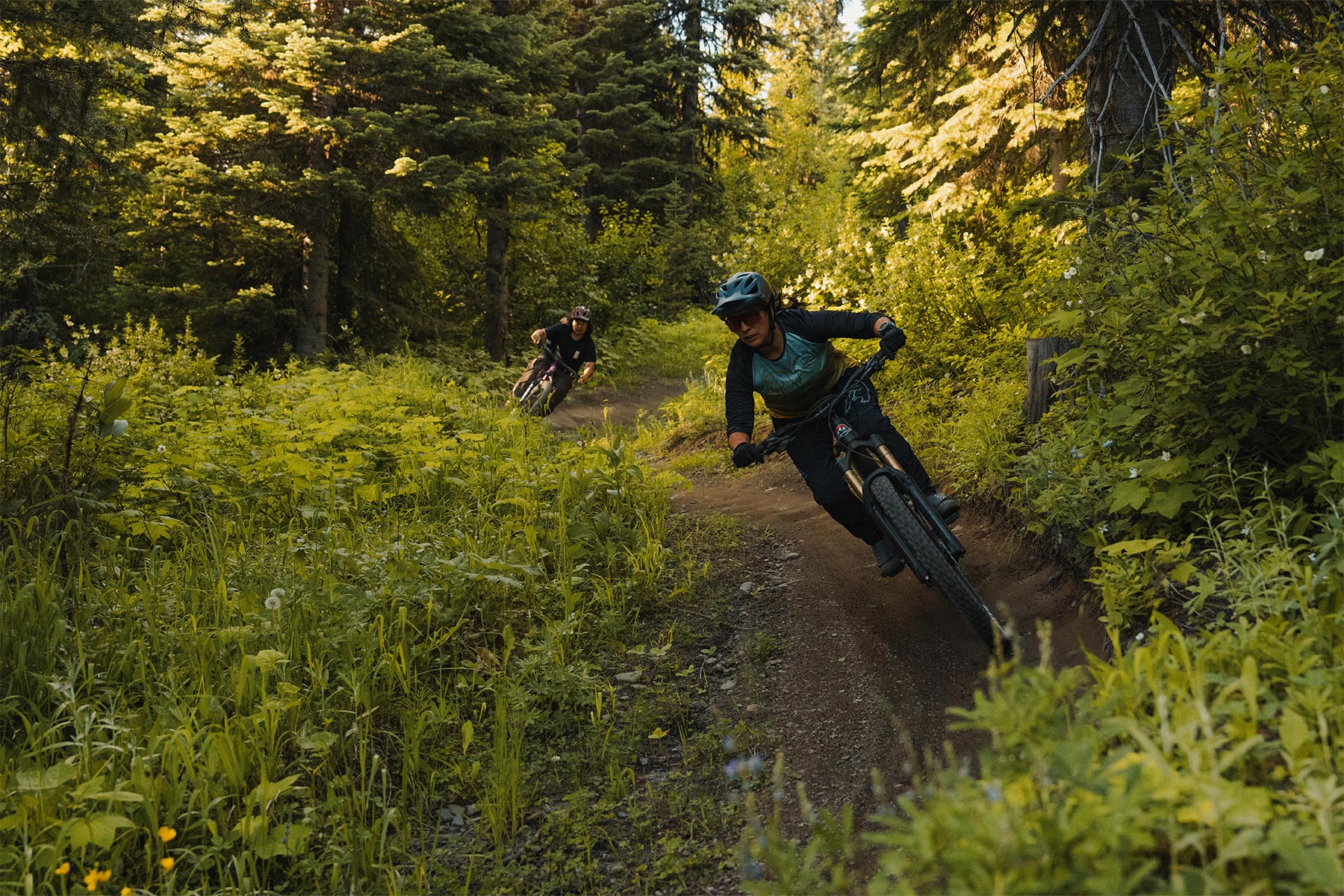 two poeple biking through a trail with trees around them