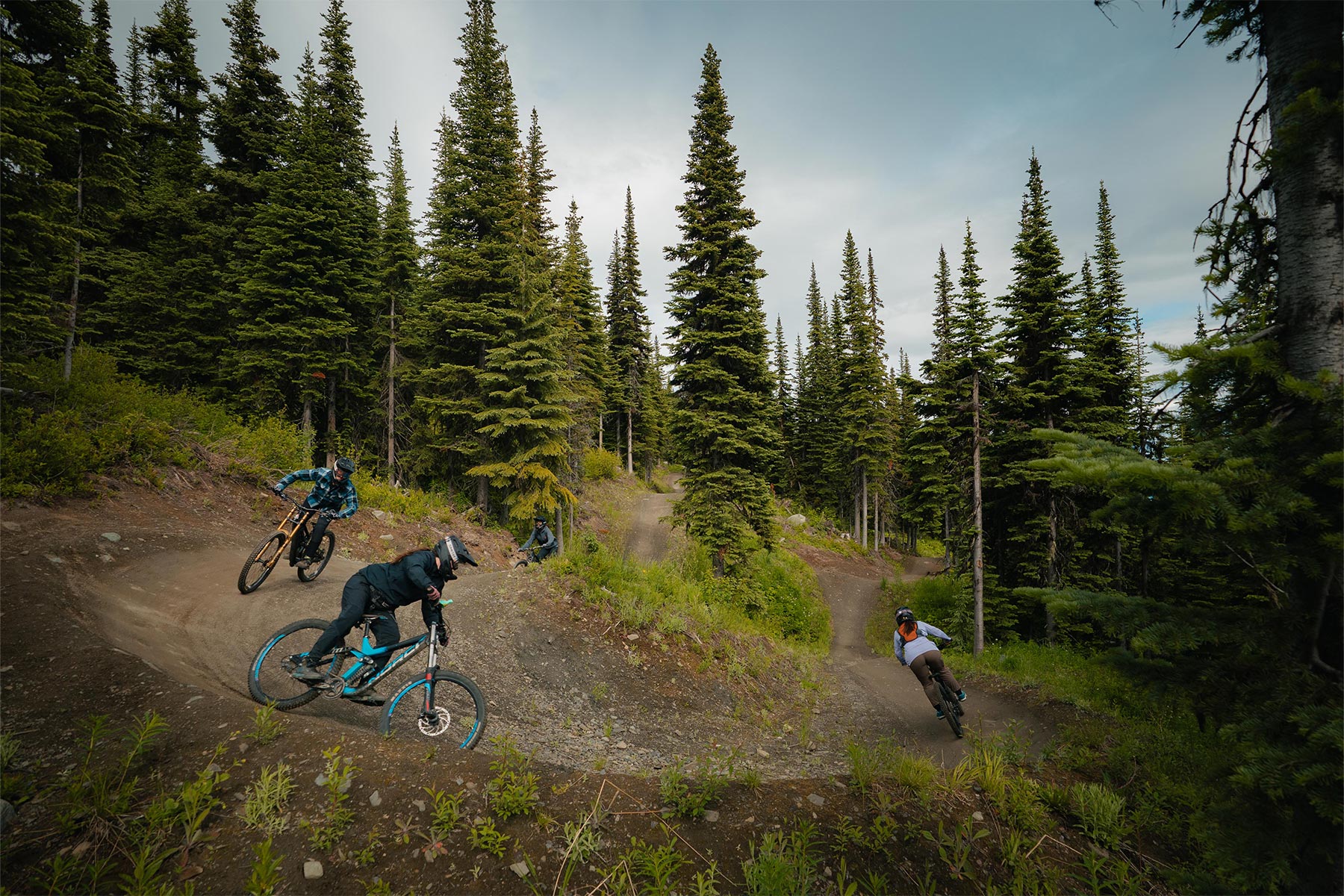 ladies biking down a dh trail with trees around them