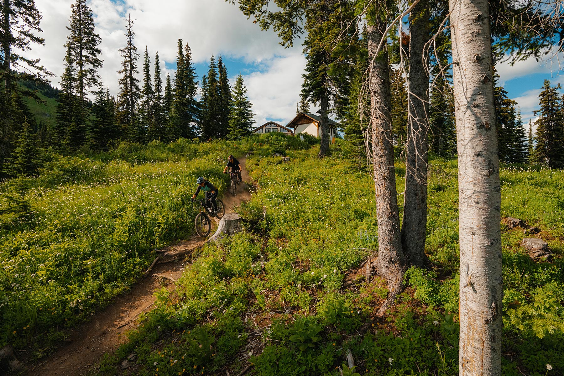 two people biking through lush green