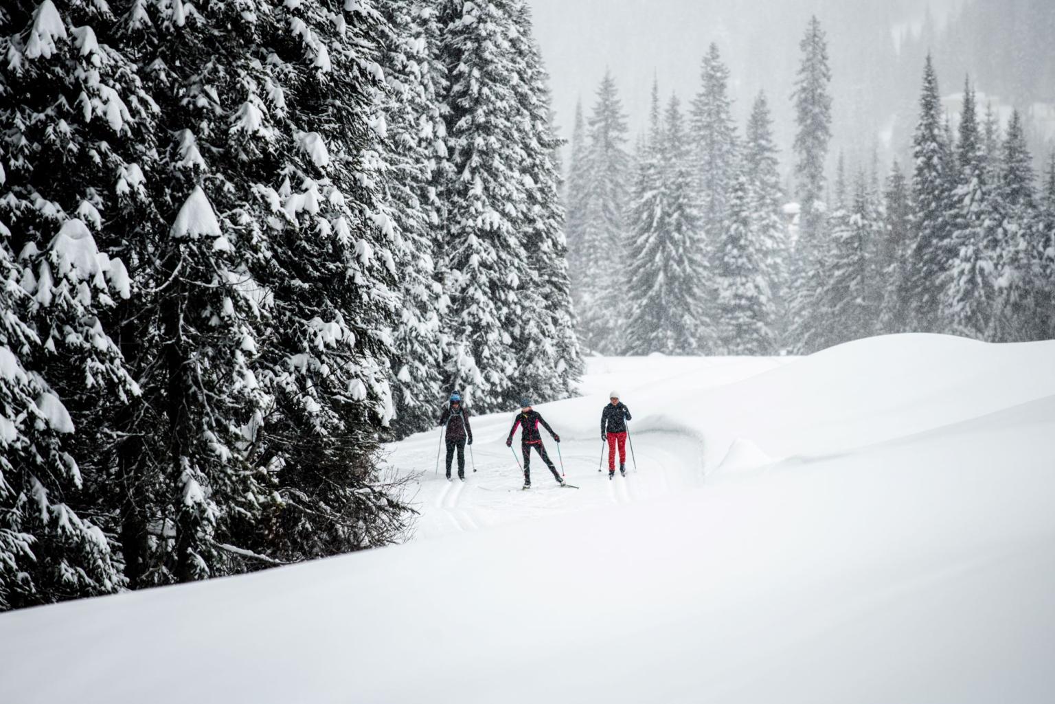 3 Nordic Skiers rounding a corner on the trails, snowy day