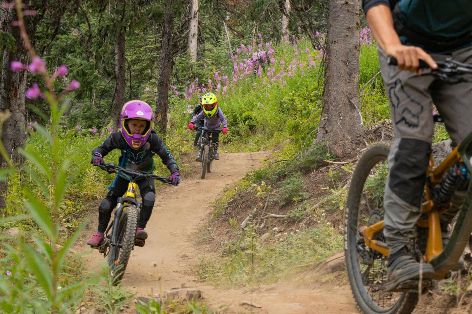 Two kids biking on a bike trail with purple flowers and greenery surrounding them