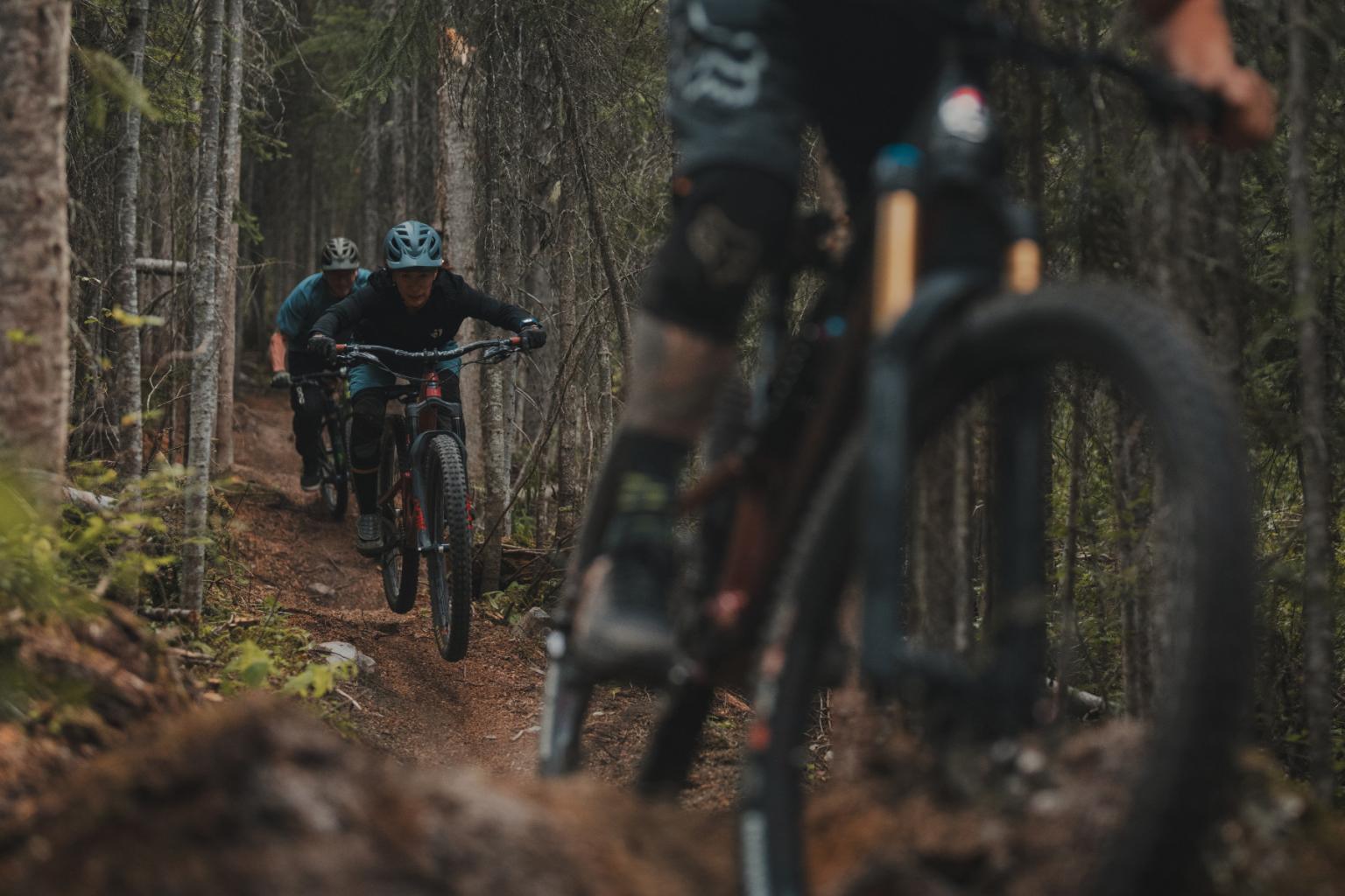Riders on pedal-access trails in fall.