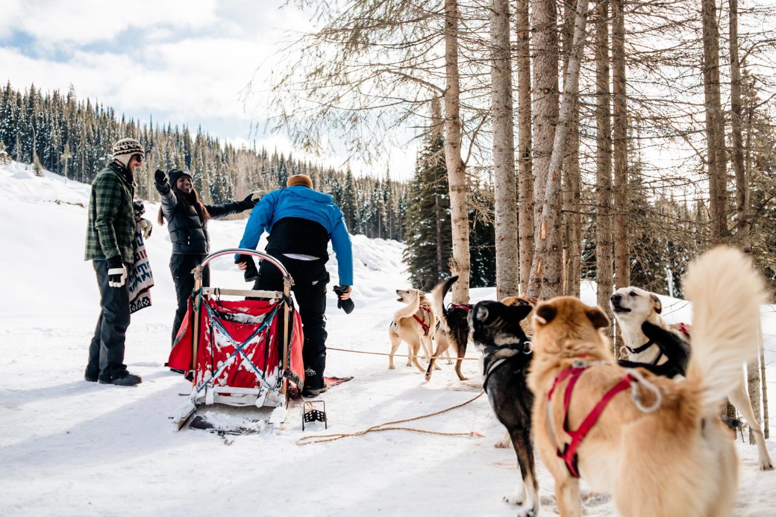 Dog Sledding with Mountain Man Adventures in Sun Peaks