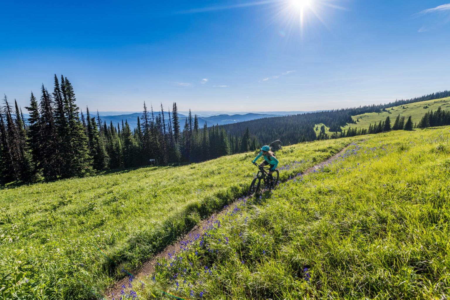One biker riding down a trail in the sunshine with mountain views