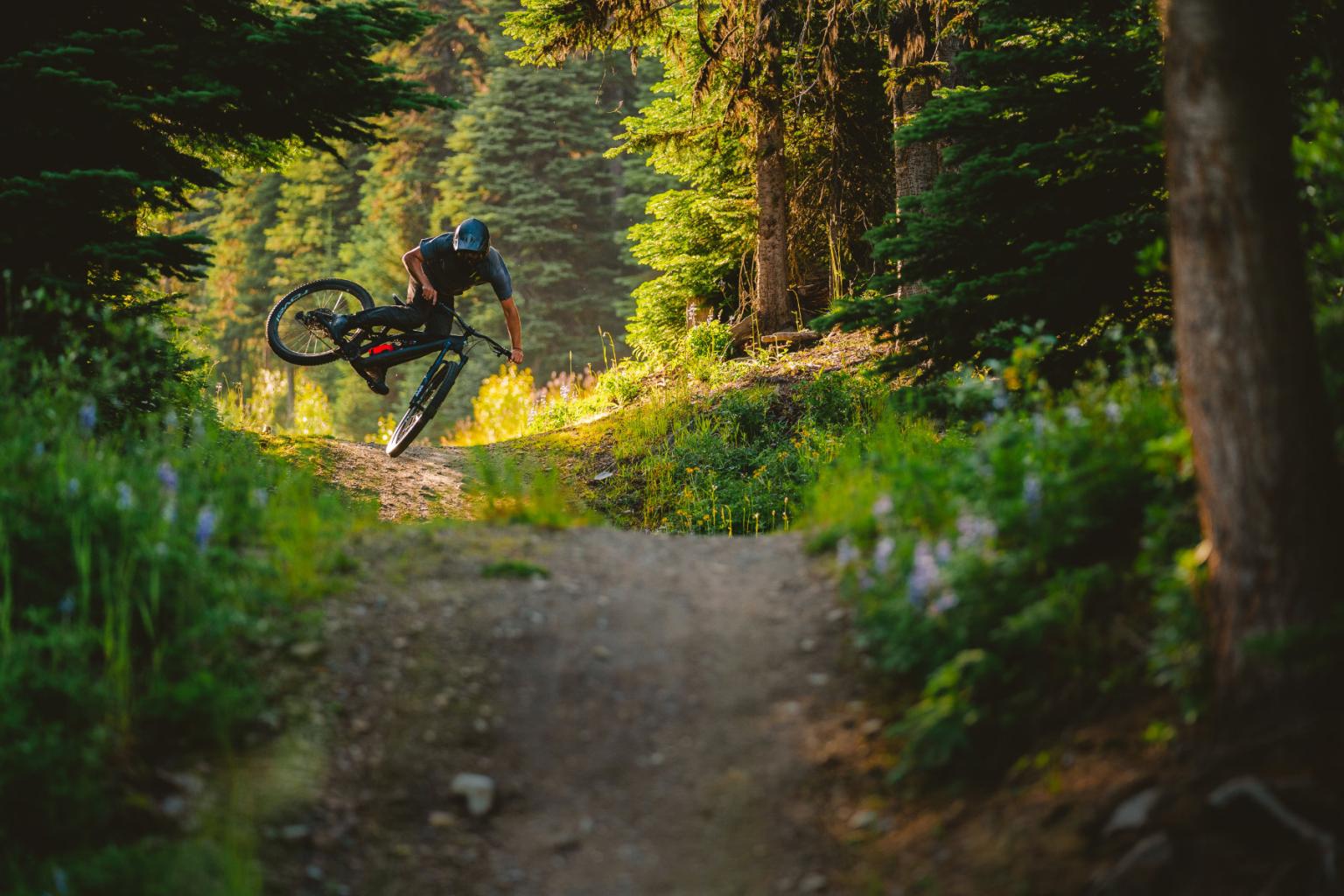 Biker hitting a jump with trees surrounding them