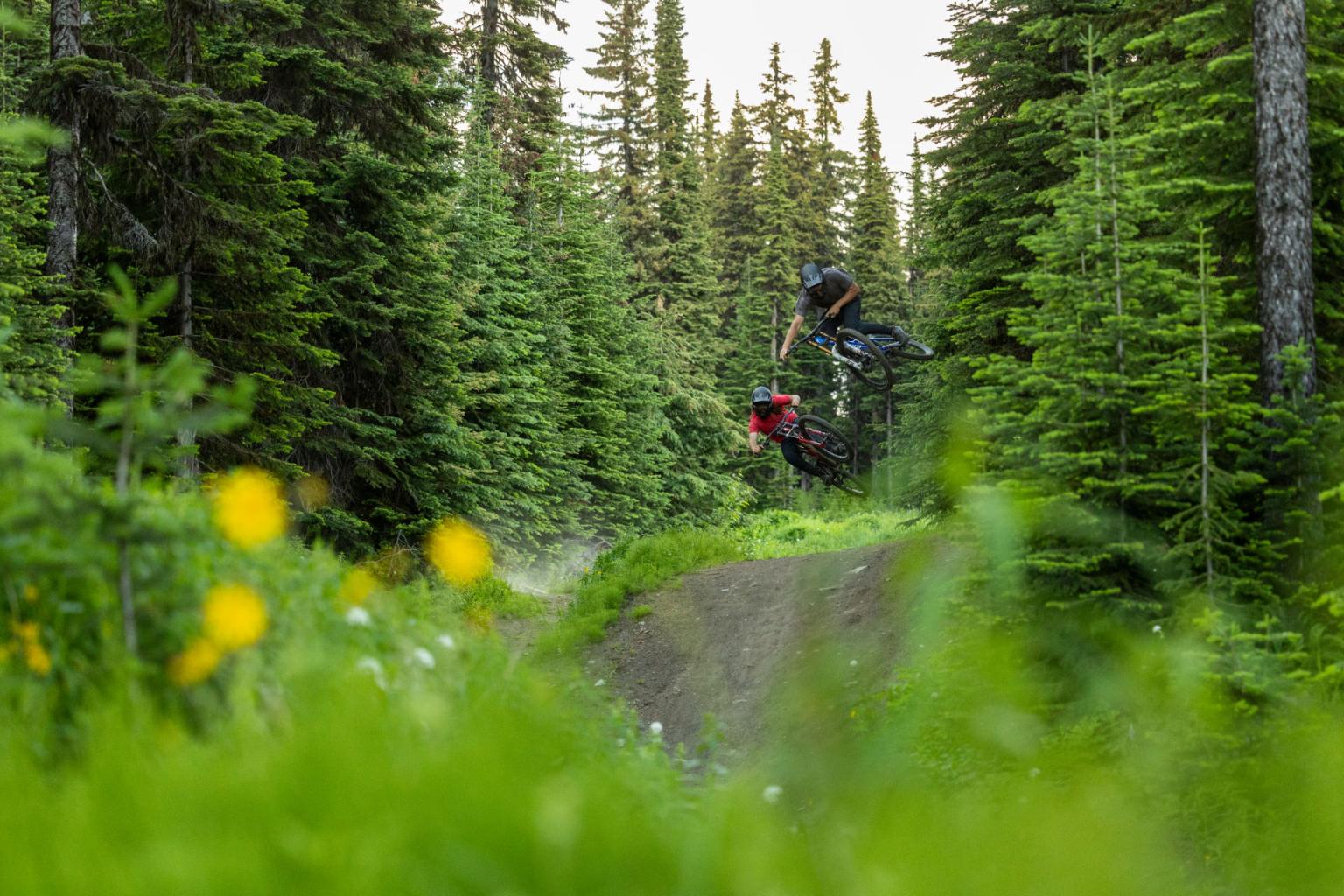 Two bikers hitting a bike jump on a trail surrounded by trees