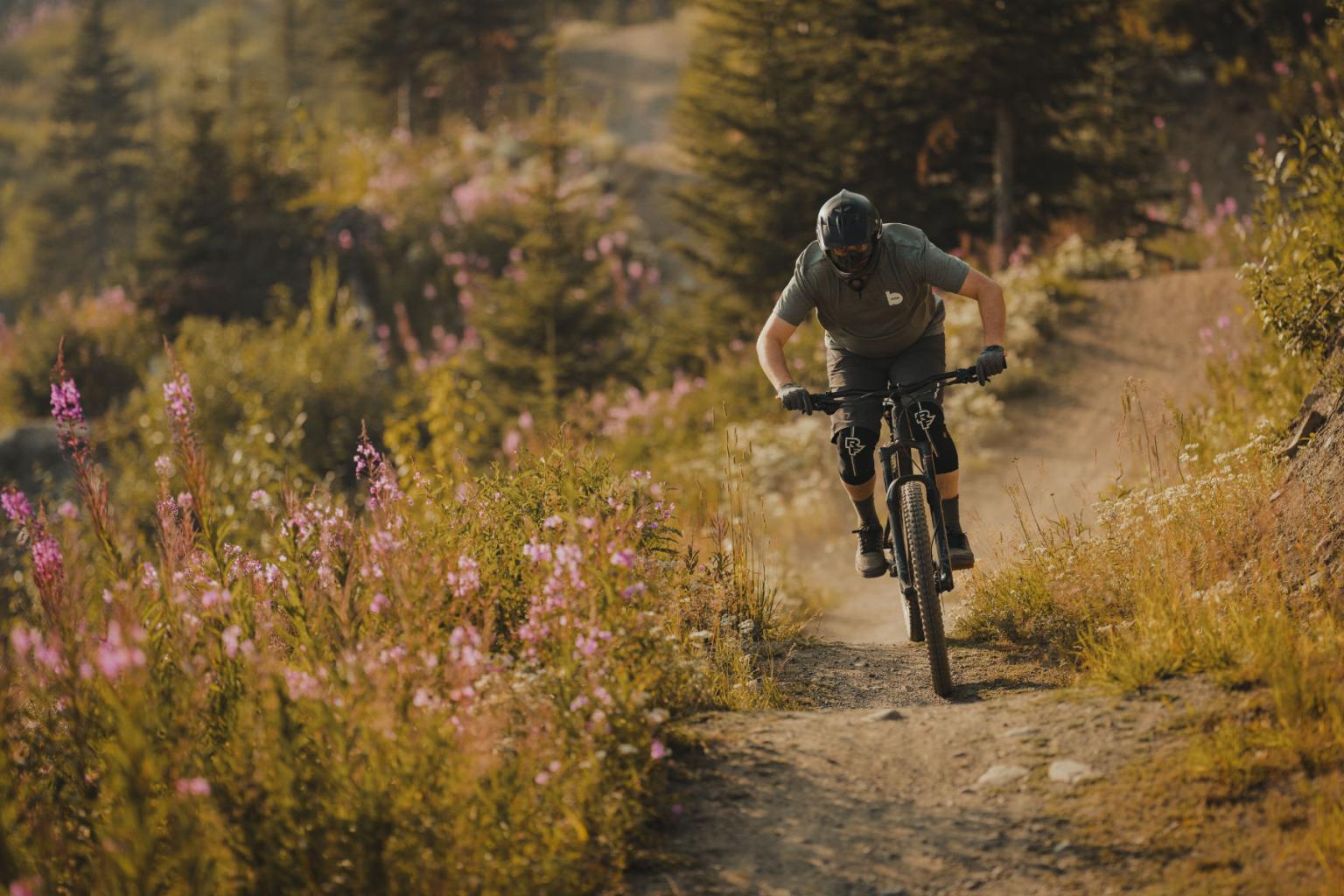 Biker riding down a trail with sunlight shining in behind him and trees around him 