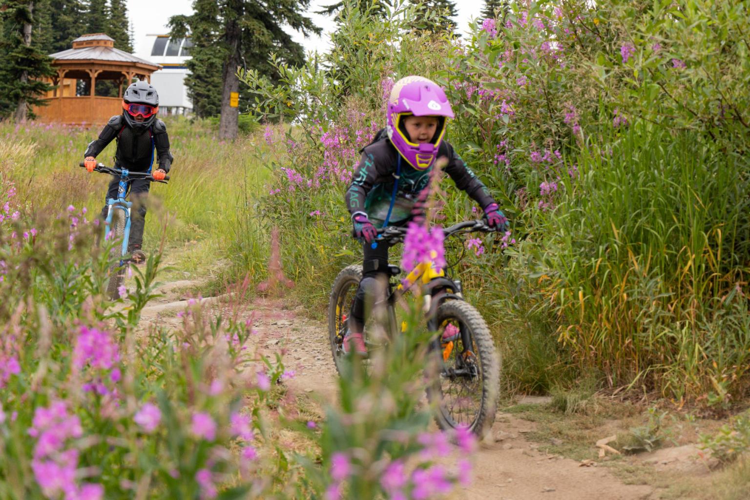 Kids biking down a bike trail with purple flowers around them
