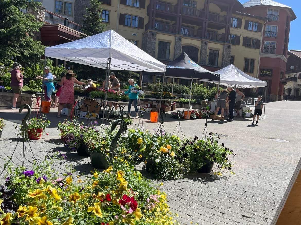 Community Plant Sale in the Village
