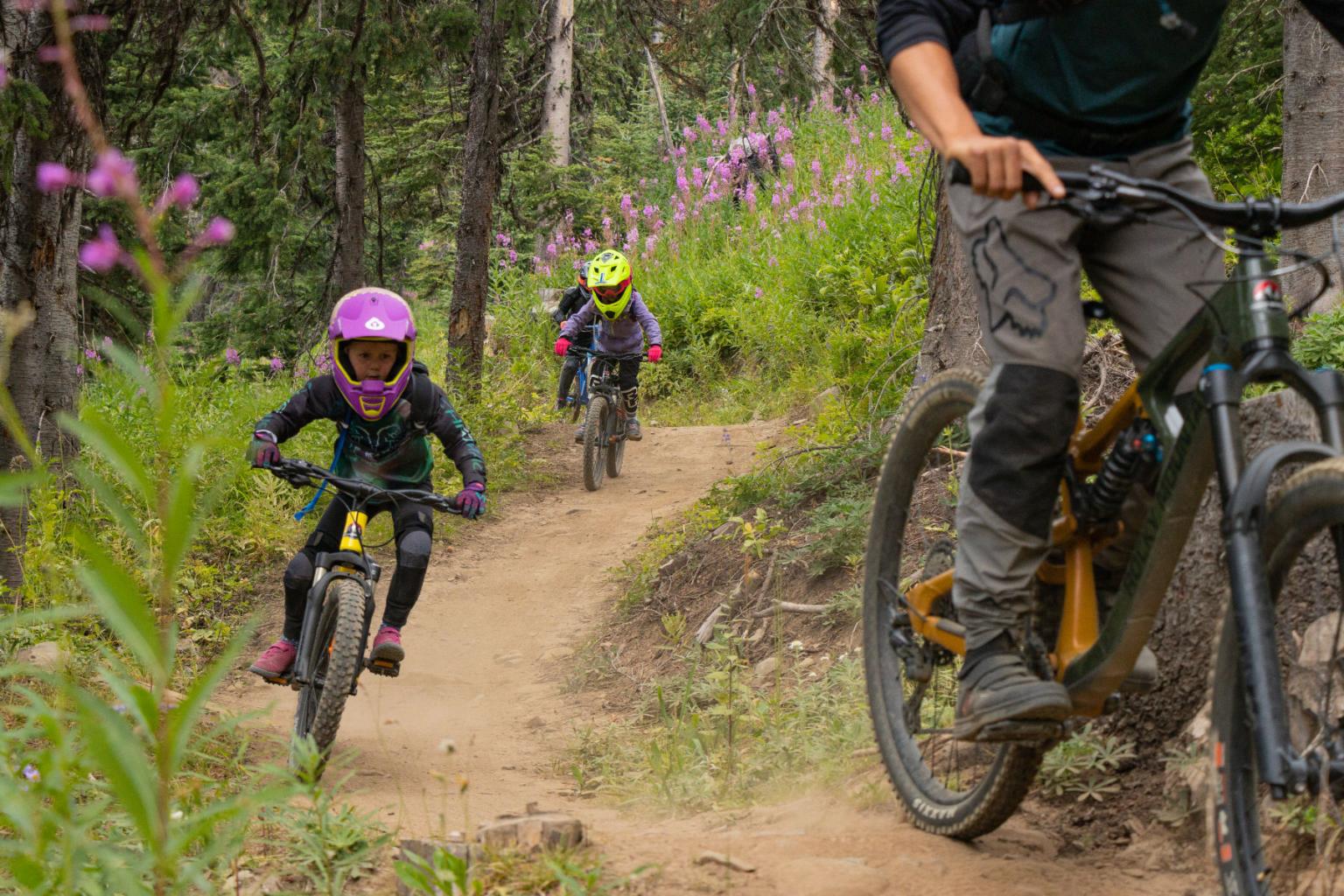 Kids biking down a bike trail with purple flowers around them