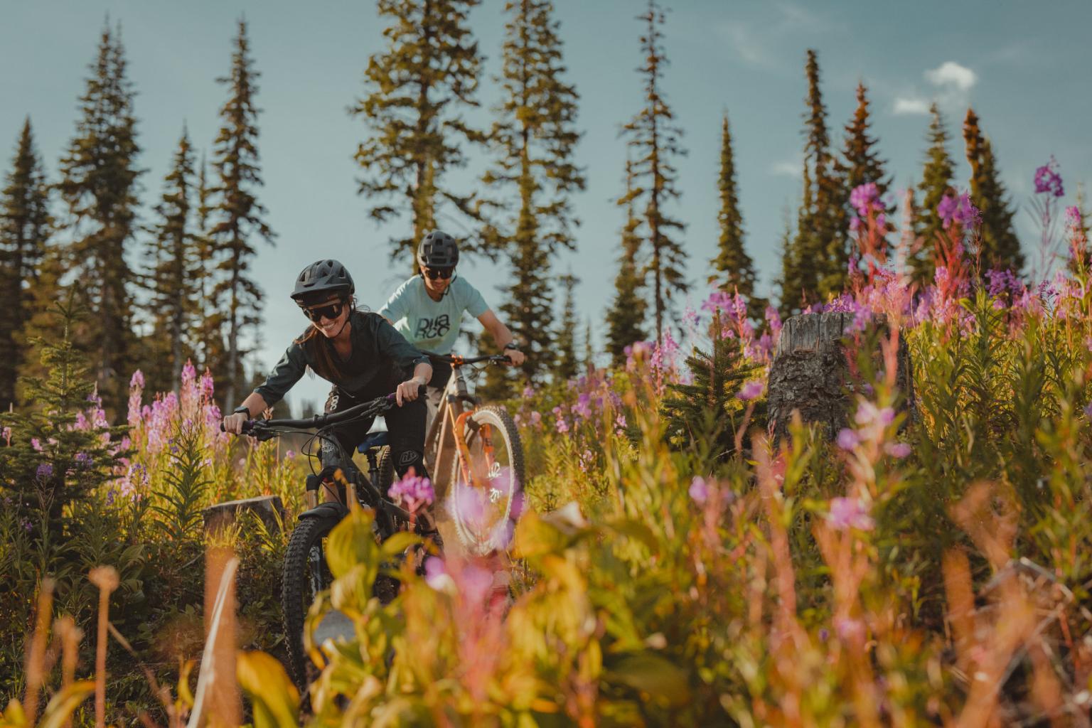 Two bikers riding down the mountain surrounded by purple flowers