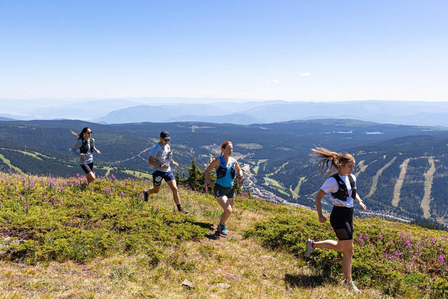 Group of trail runners in the sun peaks alpine