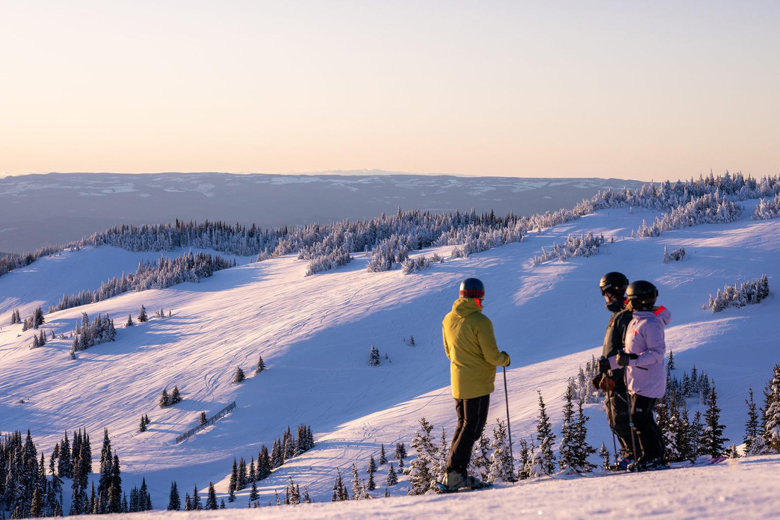 Three skiers looking out at the West Bowl terrain during sunset.