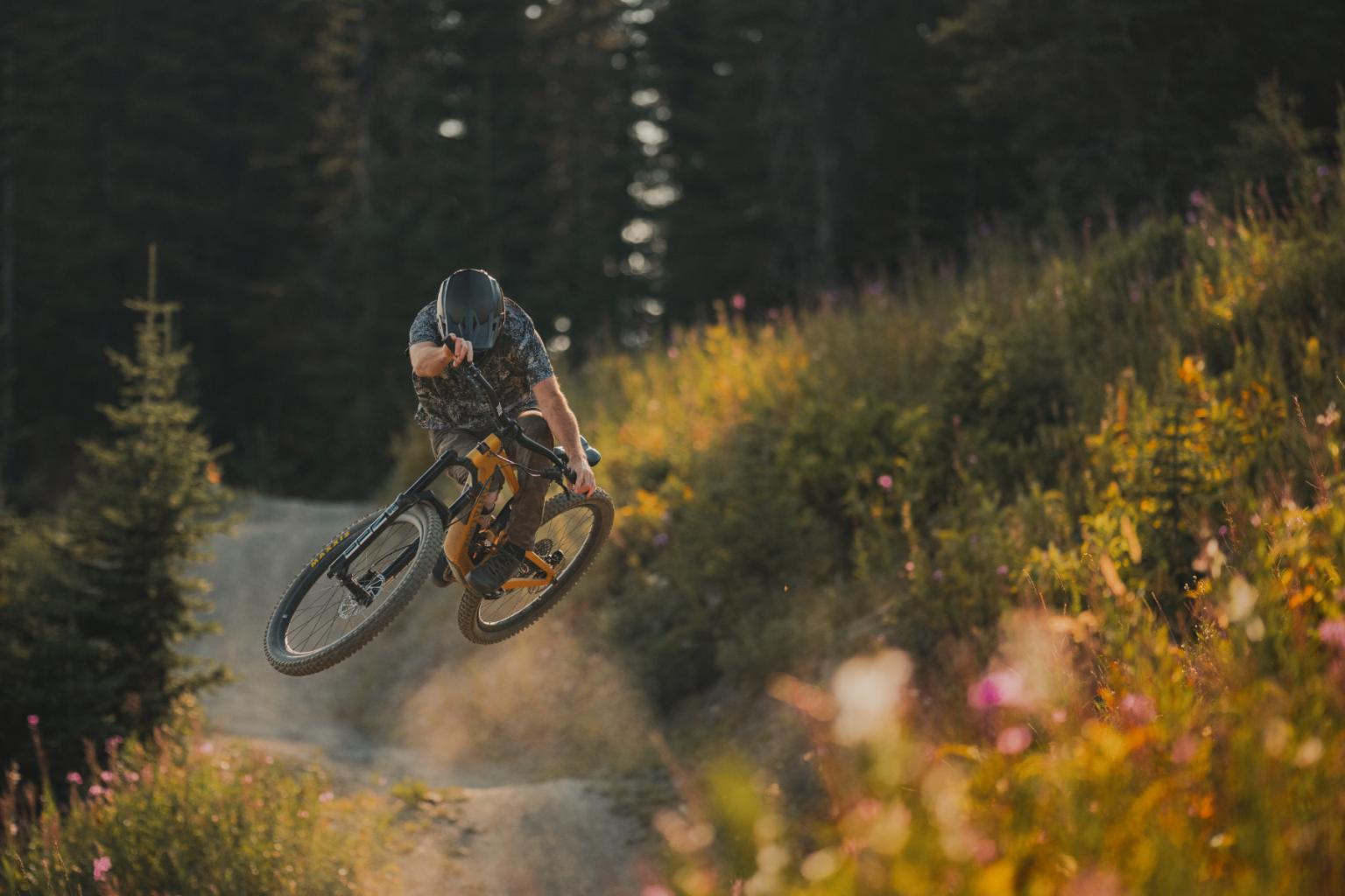 Biker hitting a jump with trees surrounding them