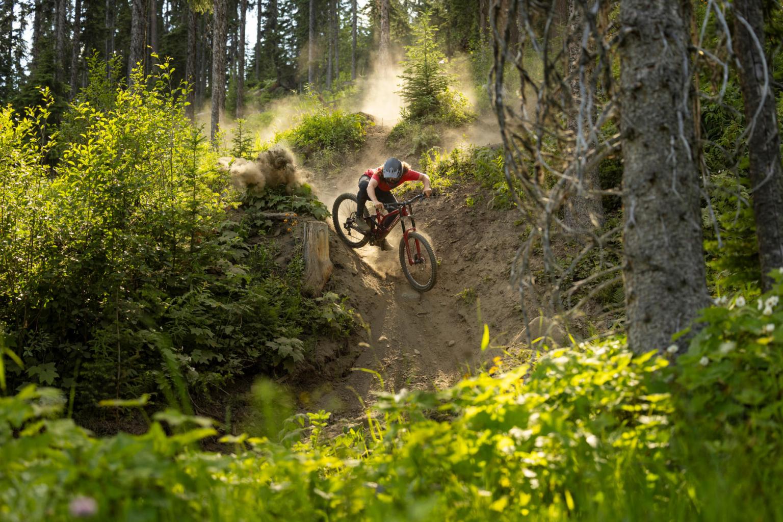 Biker riding down a trail with sunlight shining in behind him and trees around him 