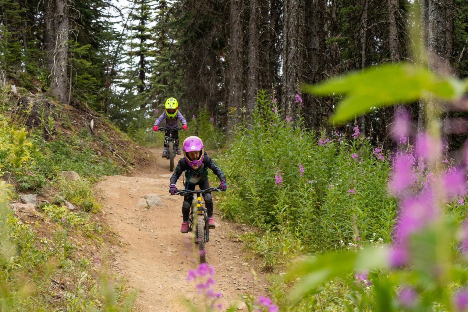 Two young bikers riding down a trail with greenery and purple flowers around them