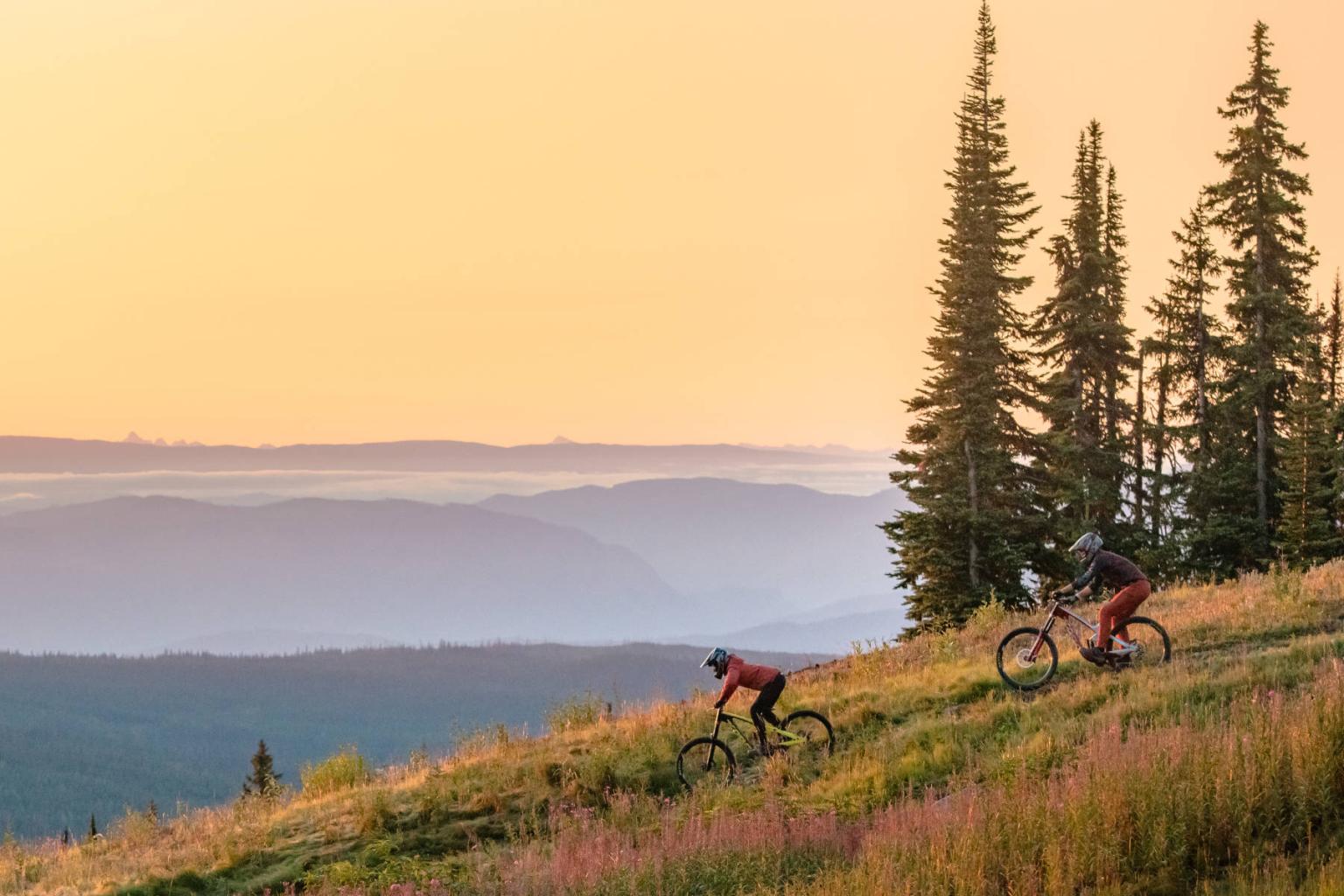 Two DH bikers on a trail