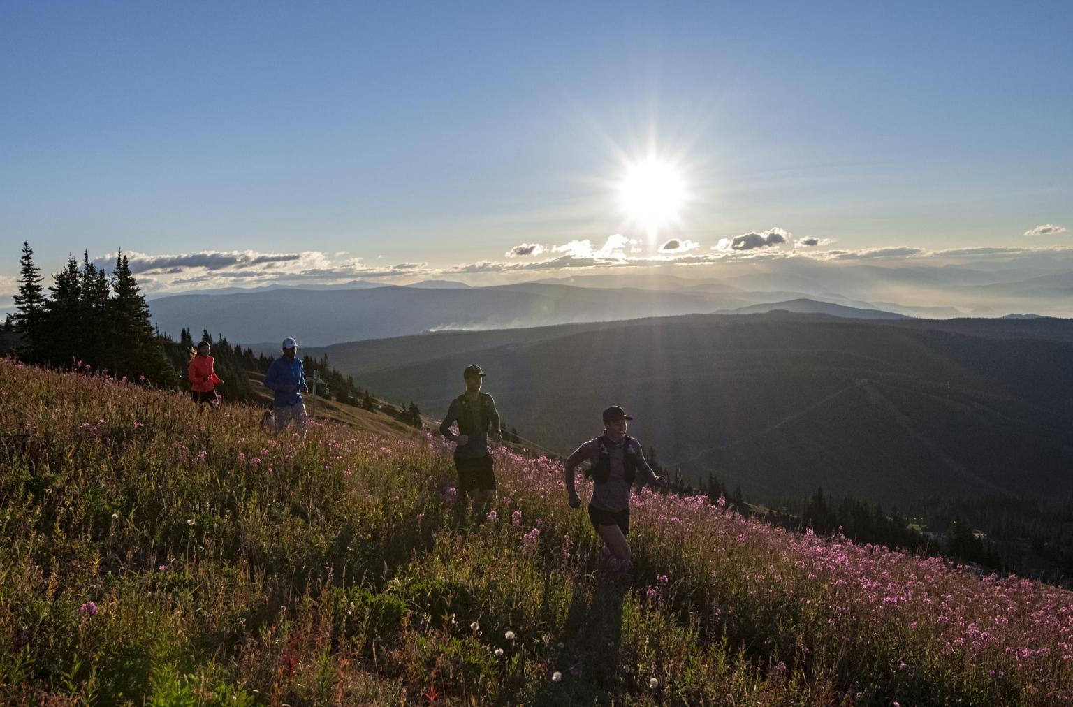 Two people trail running through wildflowers