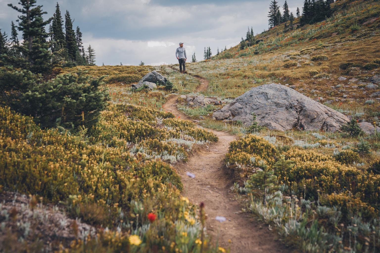 Man hiking on Sun Peaks Resort hiking trails during summer