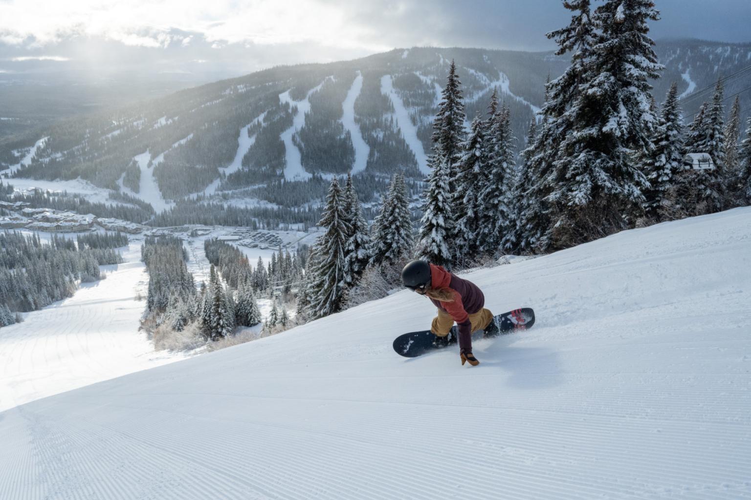 Snowboarder riding through powder with trees around them
