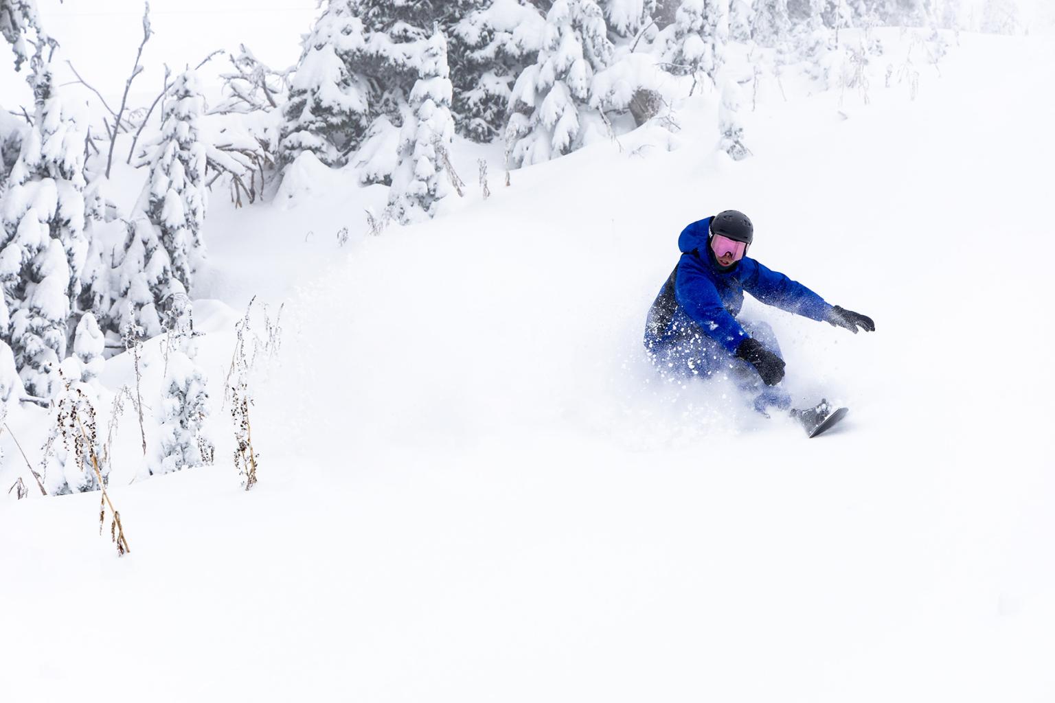Snowboarder riding through powder with trees around them