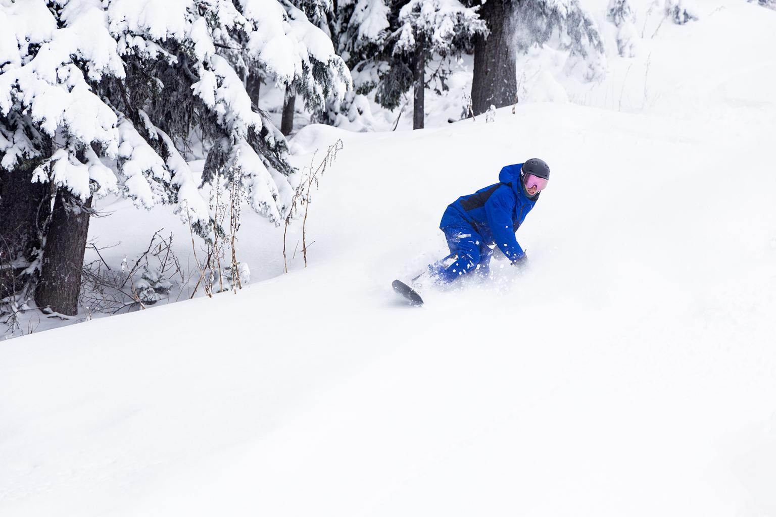 Snowboarder riding through powder with trees around them