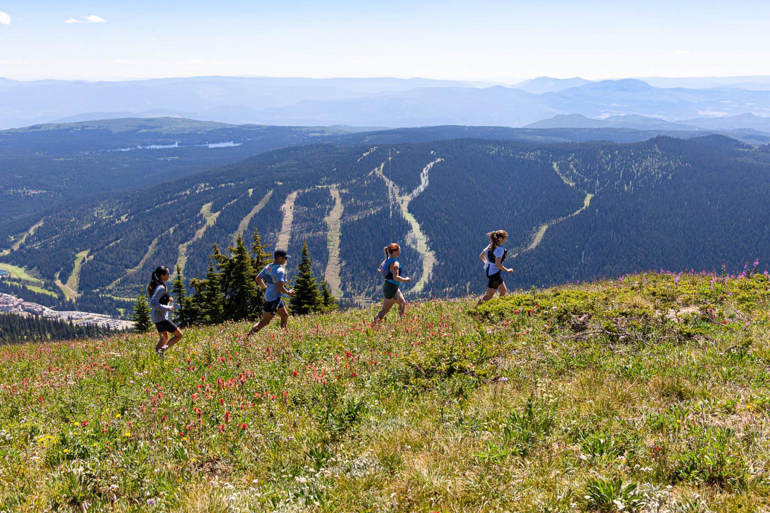 Group of 4 runners, trail running on the mountain