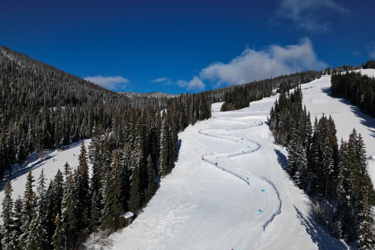 Ariel view of a ski trail with trees surrounding it on a blue sky day