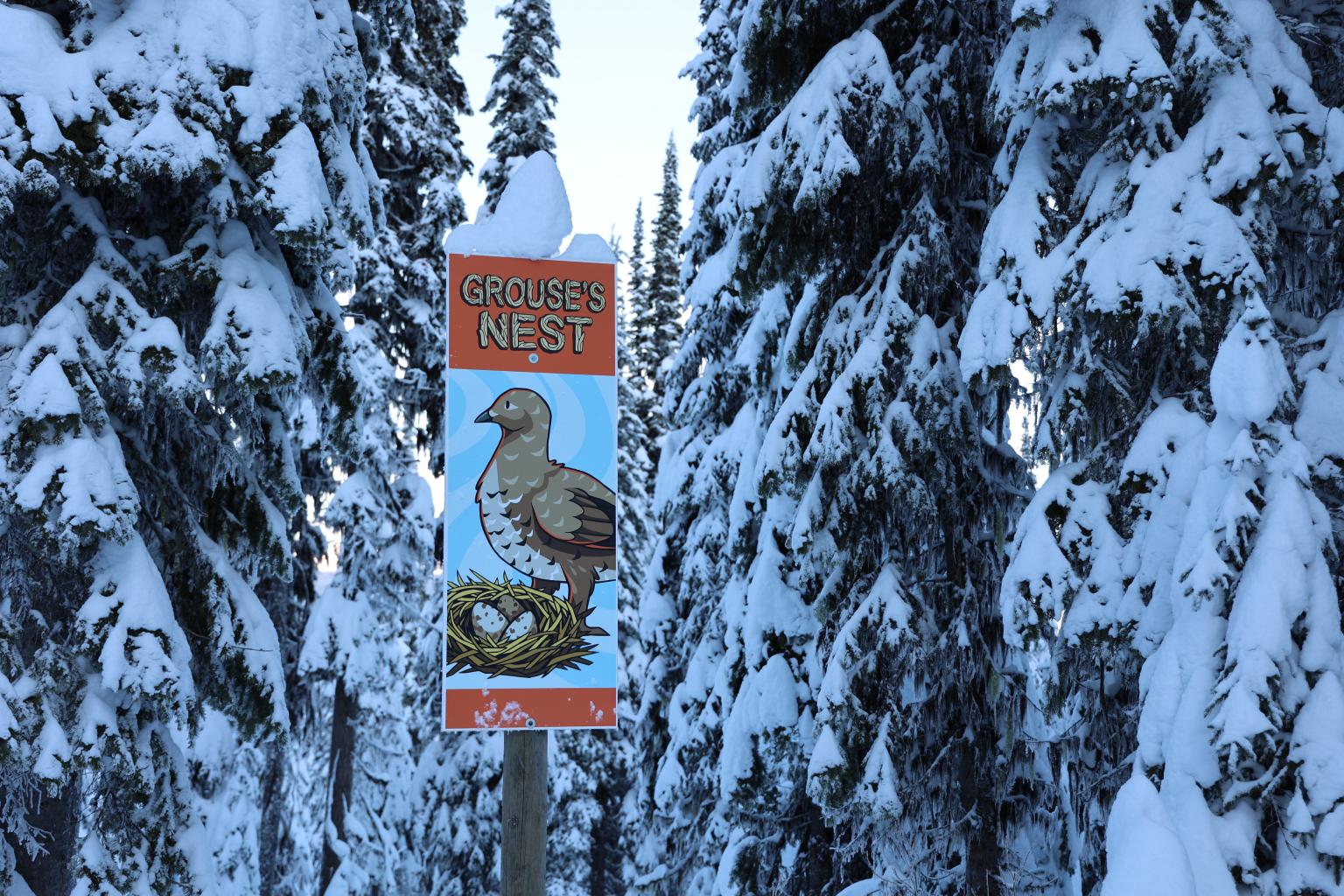 Look for pops of orange for the entrance to the Grouse's Nest.