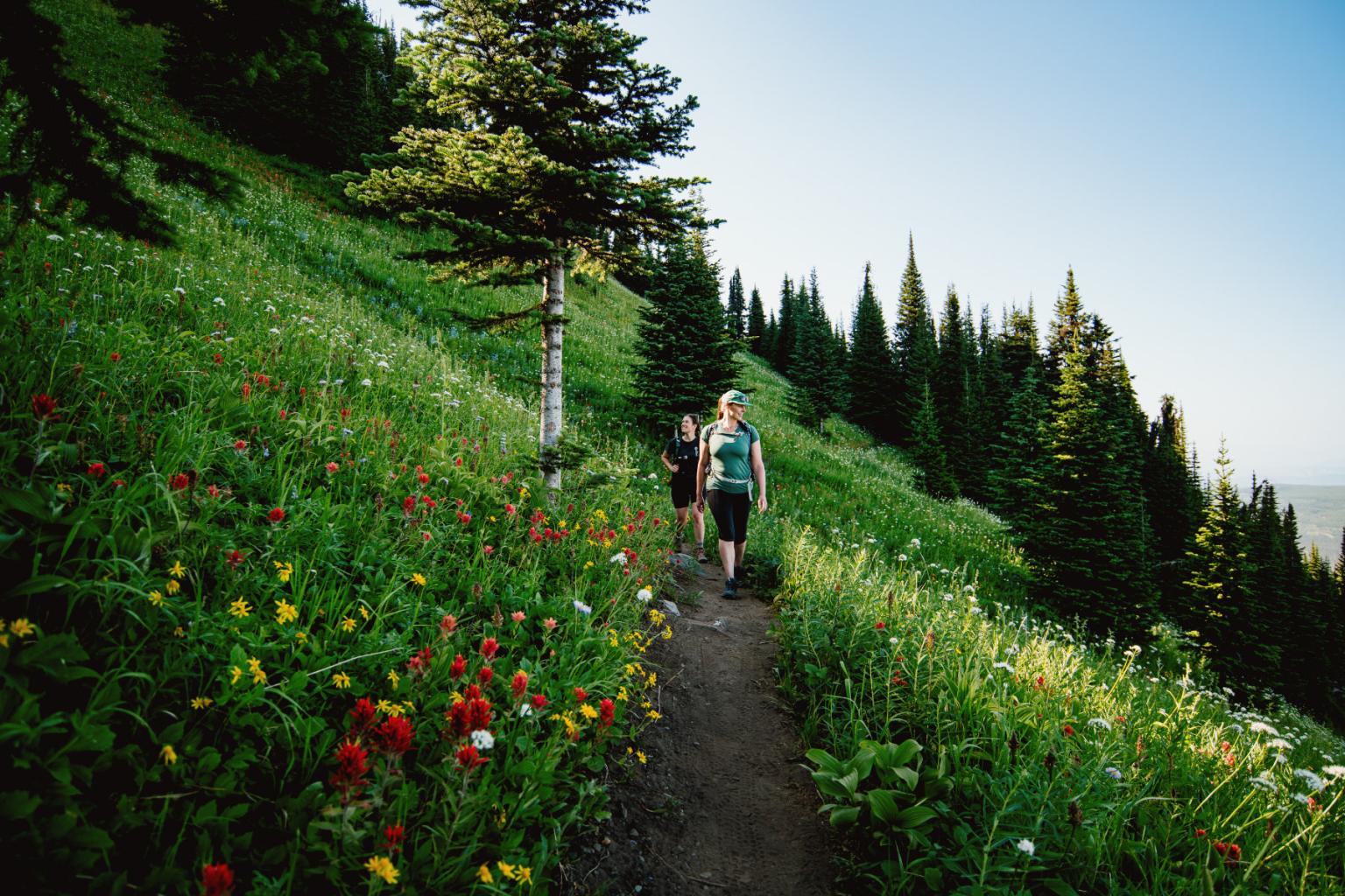Hiker on a scenic mountain trail with wildflowers and pine trees.