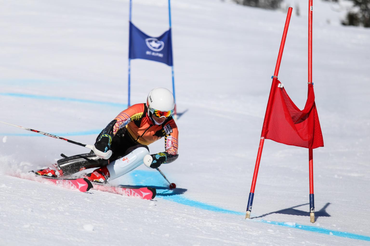 Skier in action on snowy slope passing red gate.