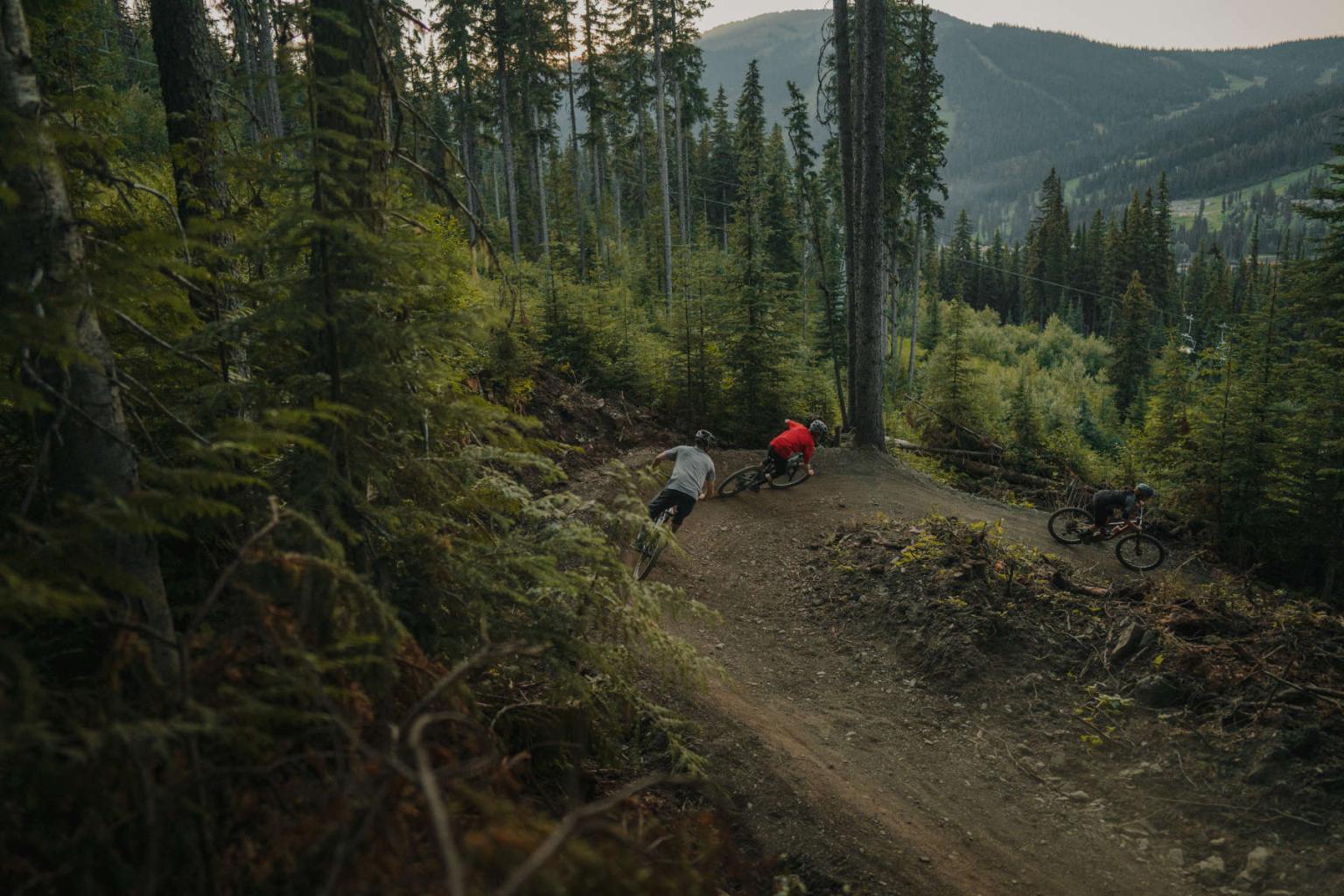 Cyclists riding on a forest trail with mountains in the background.