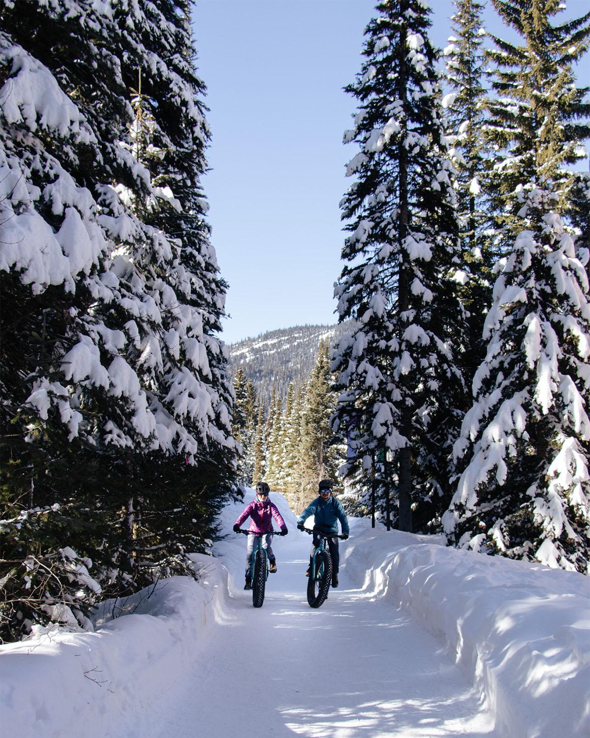 Two cyclists ride on a snowy forest trail, surrounded by tall, snow-covered trees.