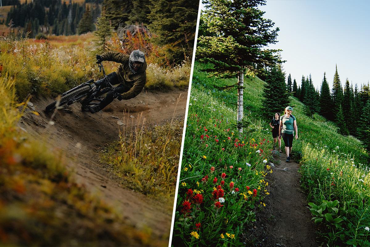 Mountain biker on trail, hikers walking amidst wildflowers.