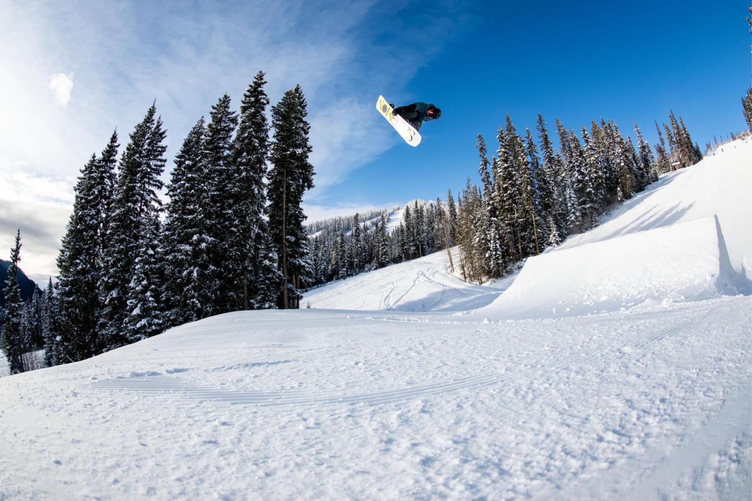 Snowboarder performing a jump in a snowy forested landscape.