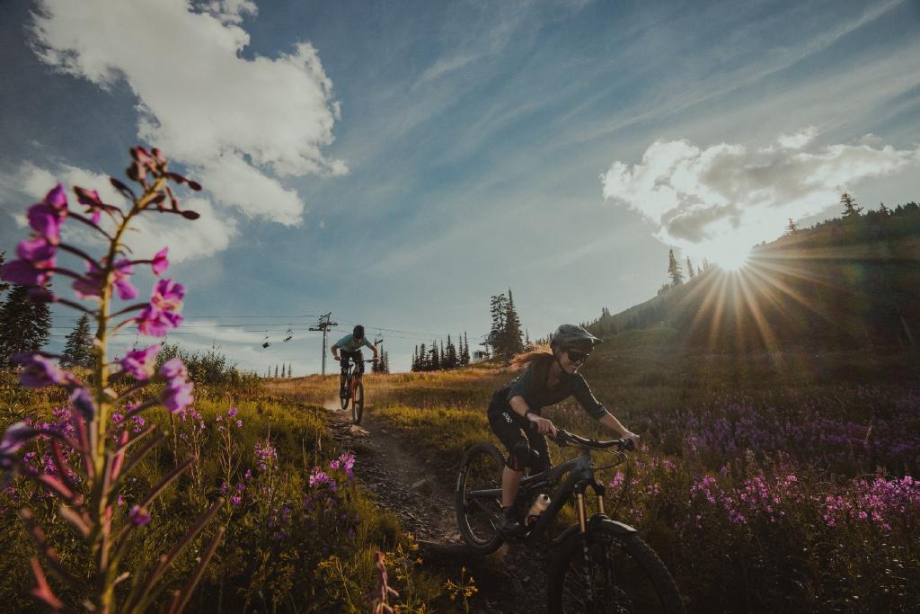 Cyclists ride on a scenic mountain trail with sunlit wildflowers.