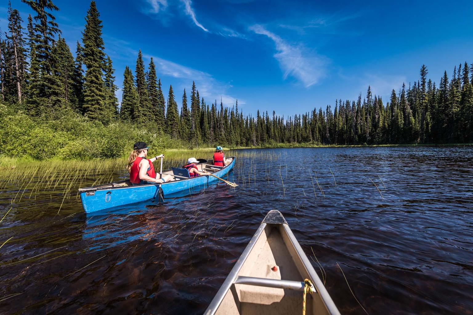 Canoes on a lake surrounded by pine trees under a blue sky.
