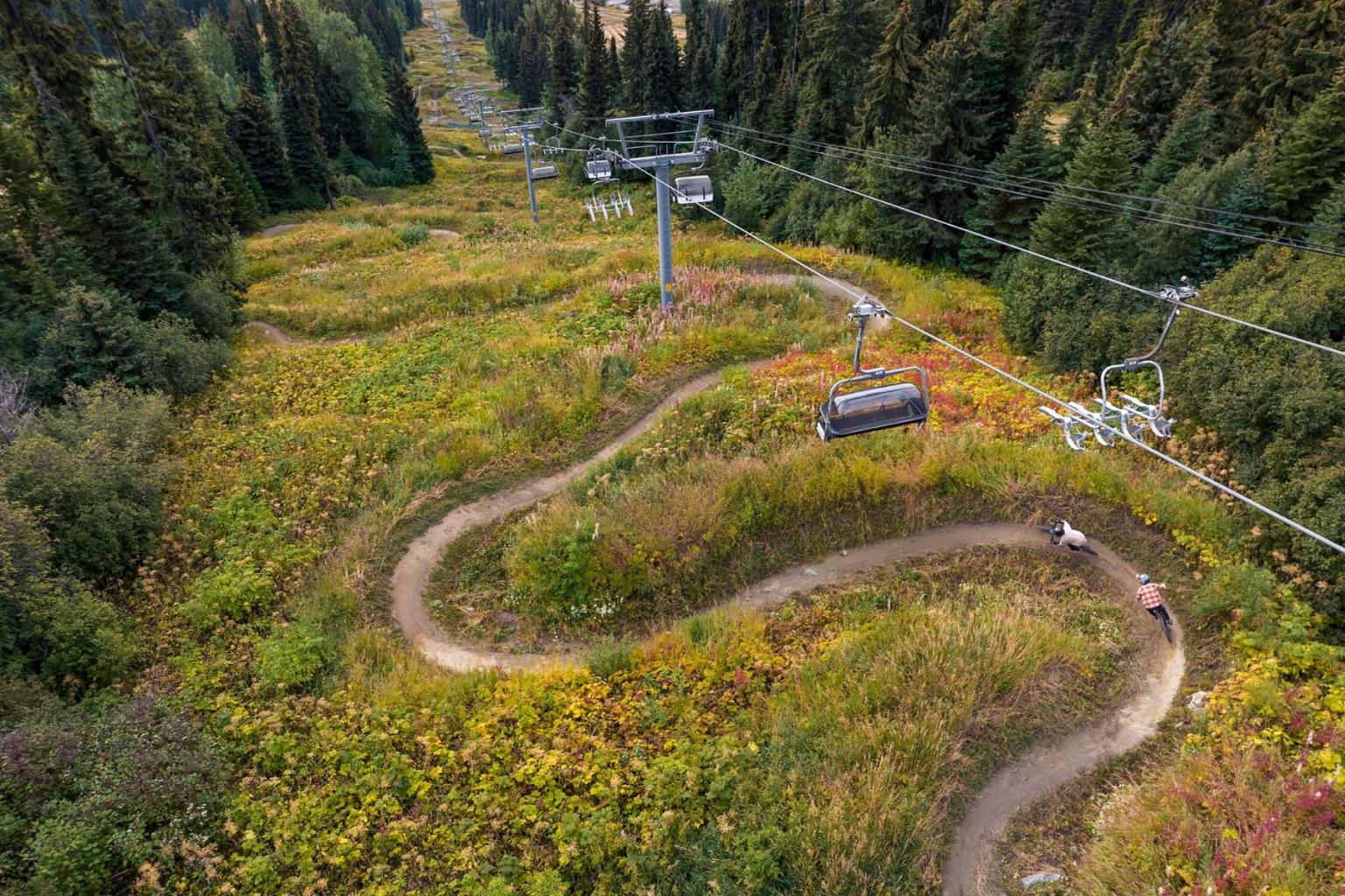 Winding bike trail through a lush forest under a ski lift.