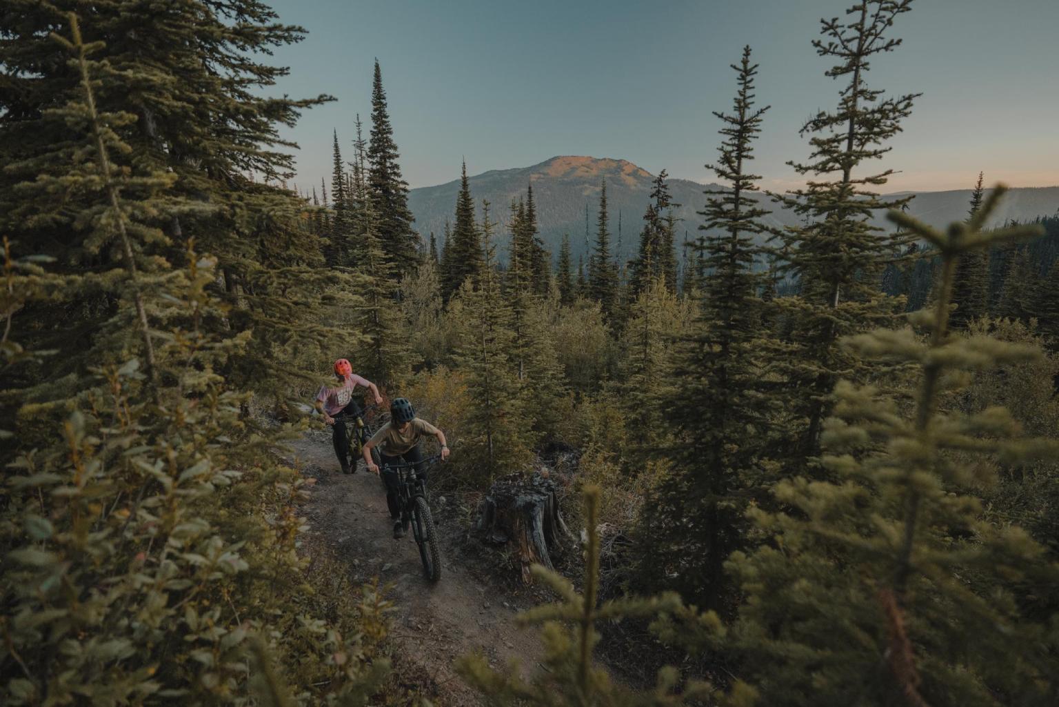 Two mountain bikers on a forest trail at dusk, with a mountain in the background.