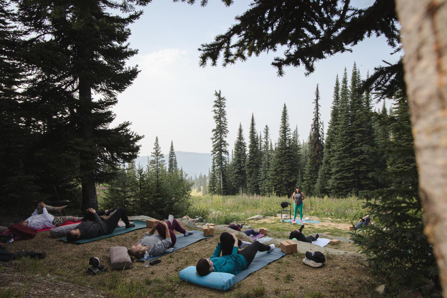 Group doing yoga on mats in a forest clearing, surrounded by tall trees.